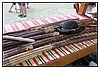 IMG_3799-1.JPG