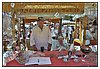 IMG_6484-1.JPG